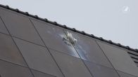 Meeuw komt klem te zitten tussen zonnepanelen