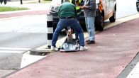 Hond raakt bekneld tussen wiel van fiets in Bloemendaal