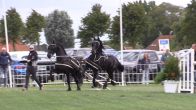 Koets slaat om tijdens paardenevent: paarden slaan op hol