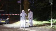 Nest Aziatische hoornaars valt op stoep inwoonwijk: 'Kan een kind doodsteken'