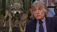 Johan Derksen gaat de politiek in: ‘Ik wil alle illegale wolven het land uit!’