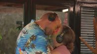 Een silent disco voor twee!