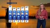 Weerbericht vrijdag 31 oktober 2025