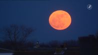 Metereoloog Robert legt uit: dit is het beste moment om woensdag naar de supermaan te kijken
