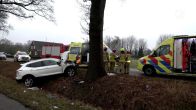 Bestuurder die tegen boom knalt bij Gaanderen overleden