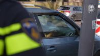 Hond zit 24 uur vast in auto, politie bevrijdt het dier