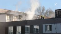 Grote brand instelling Halsteren