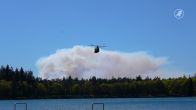 Chinooks ingezet bij grote natuurbrand 't Harde