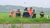 Dode bij frontale botsing tussen bestelbus en motor bij Etten-Leur