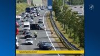 Loslopende koe zorgt voor chaos op A2