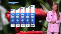 Weerbericht vrijdag 15 mei 2026