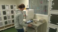 Zwanendram Velserbroek: één dood, andere zwaan en kuikens gered