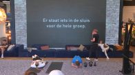 De bewoners proberen een mysterie te ontrafelen.