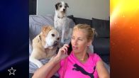 Hondjes Anouk Smulders horen interessant telefoongesprek