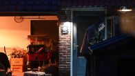 Ontsnapt honingbeertje duikt op in achtertuin bij woning in Tilburg