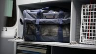 Brandweer redt twee katten bij woningbrand in Rotterdam