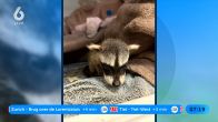 Babywasberen gevonden in schip Rotterdamse haven