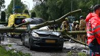 Boom valt op auto in Boxtel, bestuurder overleden