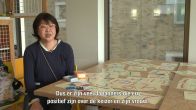 Nederlanders enthousiast over bezoek Japanse keizer