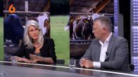Op deze manier moet Nederland van het stikstofslot