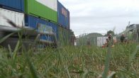 Gras groeit te hard op Zwarte Cross: honderden zitmaaiers schieten te hulp