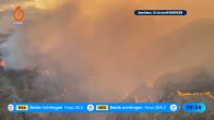 Natuurbrand Spanje: 11 doden en 19 vermisten, veel slachtoffers mogelijk buitenlands