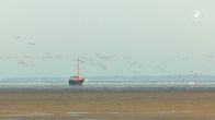 Bewoners bij Waddenzee willen werelderfgoed behouden: zorgen om zoutwinning