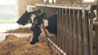 Veel waardering voor boeren na jaren strijd, maar harde acties verdelen Nederland