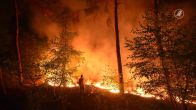Brandweer voorlopig nog niet klaar met blussen van natuurbrand in Venray