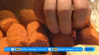 Steeds meer fastfoodzaken, vooral in toeristische gebieden