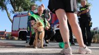 Auto met caravan rolt van talud bij pont, hond uit voertuig gered