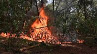 Opnieuw natuurbrand in Wijchen