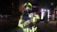 Brandweer redt twee katten bij woningbrand in Sassenheim