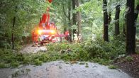 Zes bomen omver geblazen door valwind in Uddel