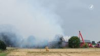 Vijf stieren omgekomen bij stalbrand in Zevenbergen