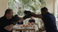 Geert-Jan Knoops daagt Remy Bonjasky uit in nieuwste aflevering van Mi Dushi: 'FIGHT!'
