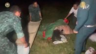 Nederlandse vrouw zwaargewond na hondenaanval in Azerbeidzjan