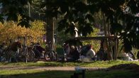 Nijmegen zit met daklozen op het Keizer Karelplein in de maag