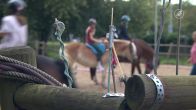 Petitie tegen zweep in paardensport krijgt tienduizenden steunbetuigingen