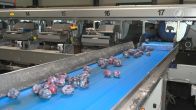 100.000 pruimen gered van verspillingen
