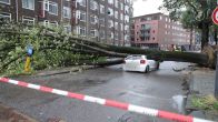 Storm Austen raast over Nederland: meerdere auto's geraakt door bomen
