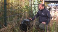 Deze val moet ratten op sluwe wijze de nek omdraaien